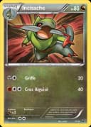 4592